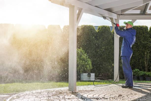 Best Graffiti Removal  in Delevan, NY