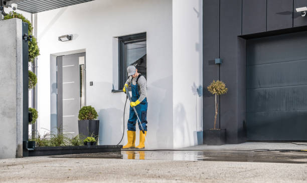 Best Spring Cleaning  in Delevan, NY